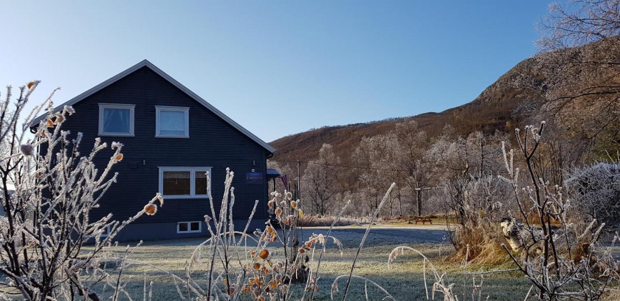 Elvestua Villa Gibostad Exterior foto